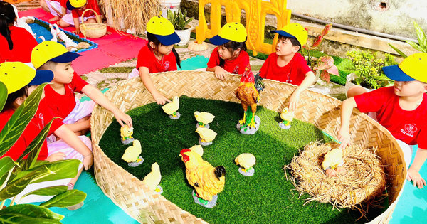 Ảnh bài viết: LỚP LỚN 1 -KHÁM PHÁ NÔNG TRẠI VUI VẺ