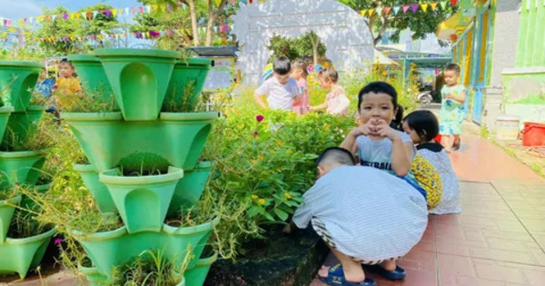 Ảnh bài viết: 🌱 Bé vui chăm sóc cây xanh
