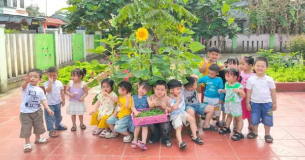 Ảnh bài viết: LỚP BÉ 3_BÉ THAM QUAN VÀ THU HOẠCH RAU SẠCH 
