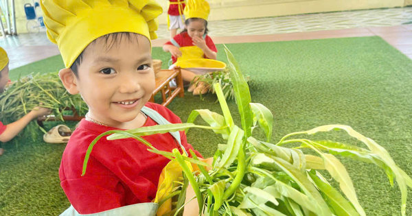 Ảnh bài viết: LỚP LỚN 1- BÉ VUI THU HOẠCH VƯỜN RAU