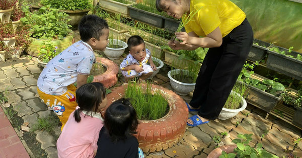 Ảnh bài viết: 🌱 HOẠT ĐỘNG TRẢI NGHIỆM: SỰ PHÁT TRIỂN CỦA CÂY TỪ HẠT