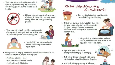 Bài tuyên truyền phòng chống một số dịch bệnh mùa hè cho trẻ mầm non