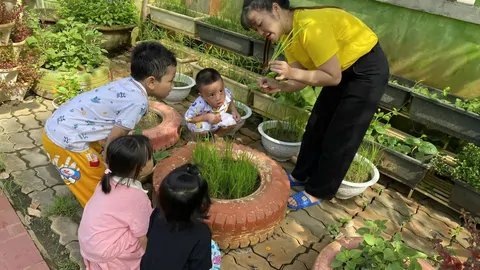 🌱 HOẠT ĐỘNG TRẢI NGHIỆM: SỰ PHÁT TRIỂN CỦA CÂY TỪ HẠT