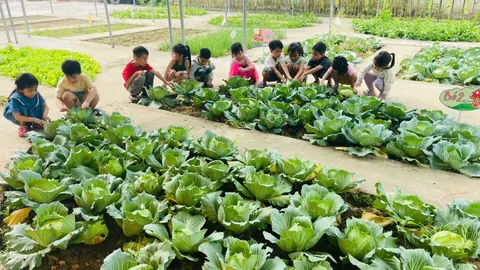 LỚP LỚN 1- THAM QUAN VƯỜN RAU- CHĂM SÓC NHỮNG LUỐNG RAU XANH
